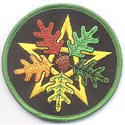 (image for) Oak Leaf Pentagram iron-on patch 3"