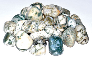 (image for) 1 lb Agate, Tree tumbled stones