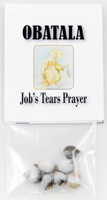(image for) Job's Tears