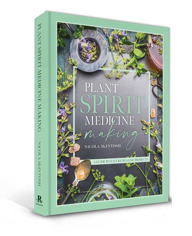 (image for) Plant Spirit Medicine (hc) by Nicola McIntosh