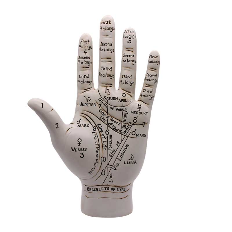 (image for) 9 1/2" Palmistry Hand