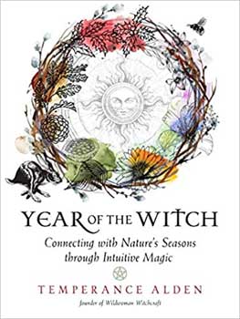 (image for) Year of the Witch by Temperance Alden