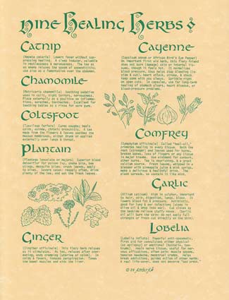 (image for) 9 Herbs poster - Click Image to Close