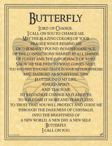 (image for) Butterfly