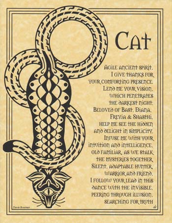 (image for) Cat Prayer - Click Image to Close