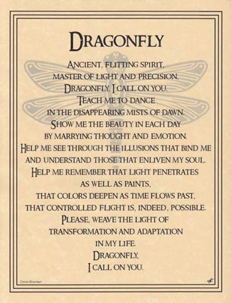 (image for) Dragonfly - Click Image to Close