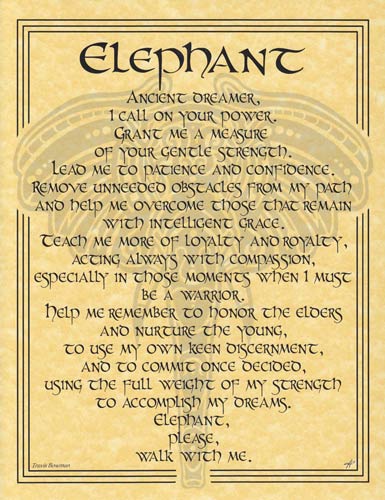 (image for) Elephant