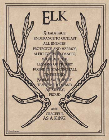 (image for) Elk Prayer - Click Image to Close