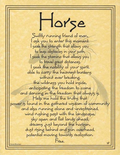 (image for) Horse