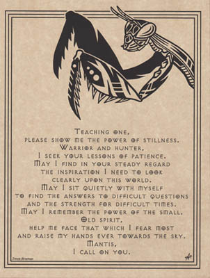 (image for) Mantis Prayer