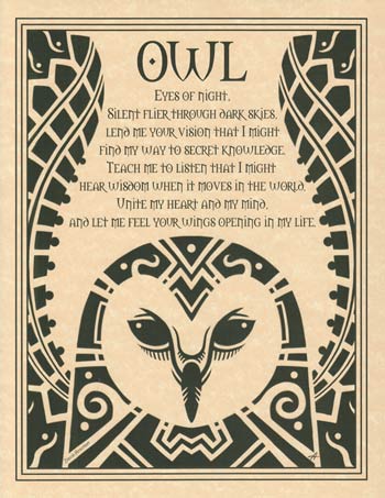 (image for) Owl - Click Image to Close