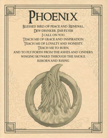 (image for) Phoenix