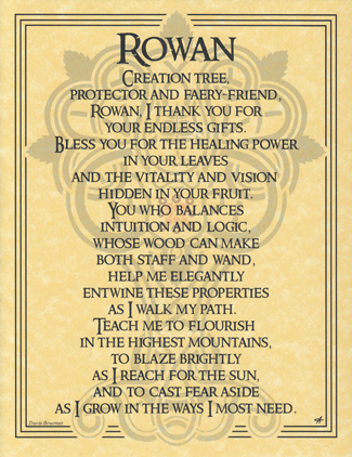 (image for) Rowan