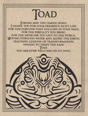 (image for) Toad Blessing
