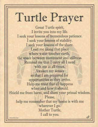 (image for) Turtle Prayer - Click Image to Close