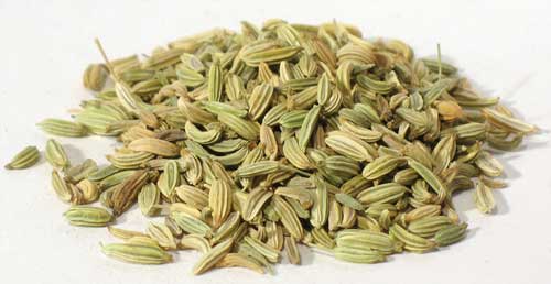 (image for) Fennel Seed 1oz