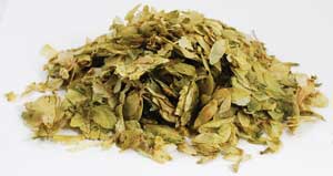 (image for) 1 Lb Hops Flower whole - Click Image to Close