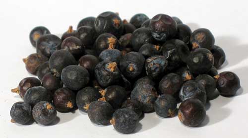 (image for) 1 Lb Juniper Berries whole