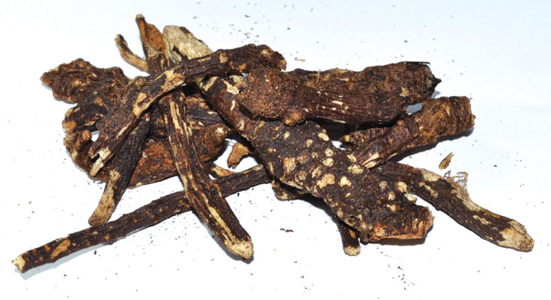 (image for) 1 Lb Osha Root wh