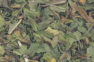 (image for) Peppermint Leaf cut 1oz - Click Image to Close
