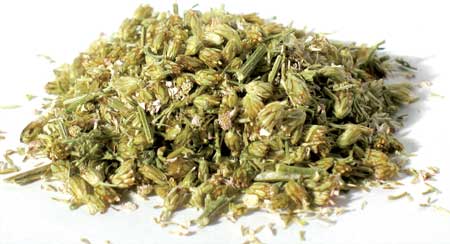 (image for) Yarrow flower 2oz