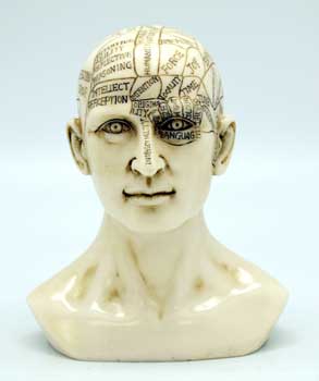 (image for) 6" Phrenology Head - Click Image to Close