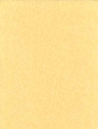 (image for) 25pk 8 1/2"x11" light parchment