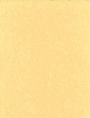 (image for) 5pk 8 1/2"x11" light parchment - Click Image to Close