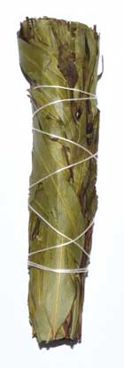 (image for) 4" Eucalyptus Citridora smudge stick