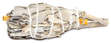 (image for) 4" Sage & Palo Santo smudge (not bagged) - Click Image to Close