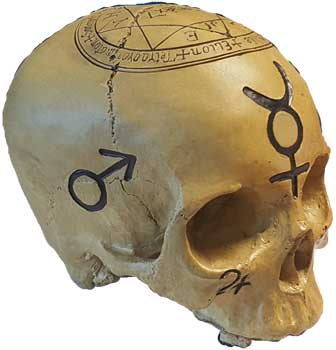 (image for) Mystic Skull