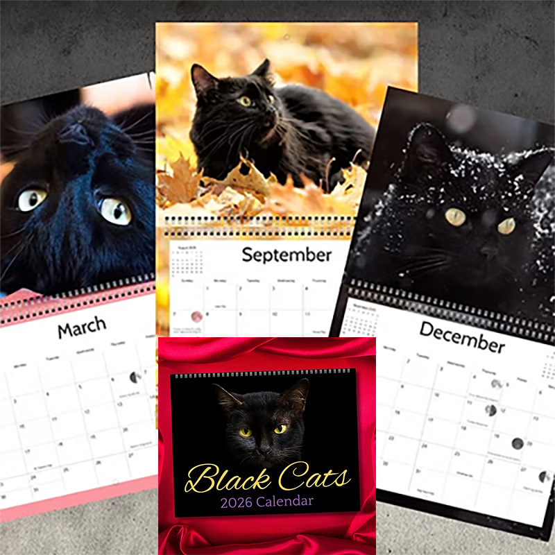 (image for) 2026 Black Cat calendar