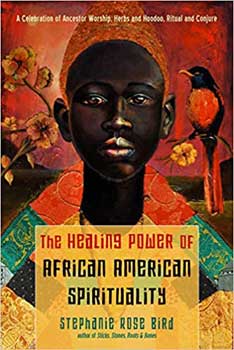 (image for) Healing Power of African American Spirituality by Stephanie Rose Bird - Click Image to Close