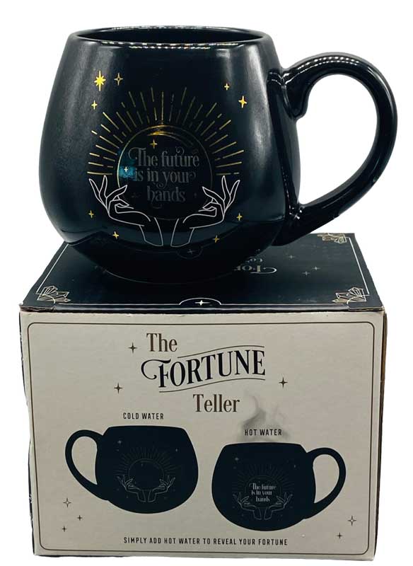 (image for) 3 3/4" Fortune Teller mug - Click Image to Close