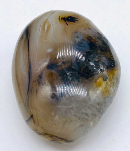 (image for) Agate, Dendritic palm stone