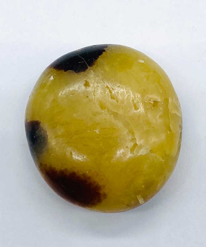 (image for) Jasper,Septarian palm stone