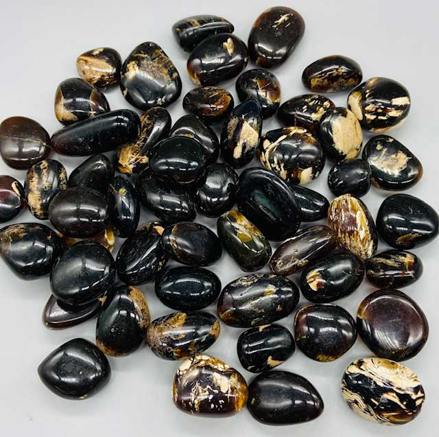 (image for) 1 lb Amber, Zebra tumbled - Click Image to Close