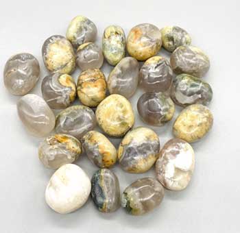 (image for) 1 lb Opalized Petrified Wood tumbled stones - Click Image to Close