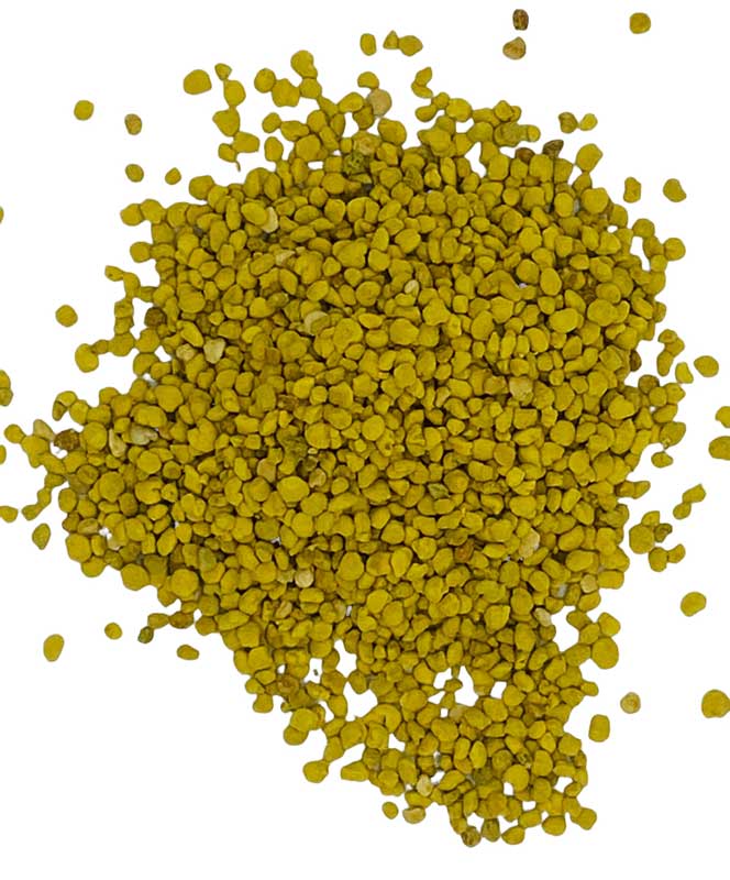(image for) 1 Lb Bee Pollen granules