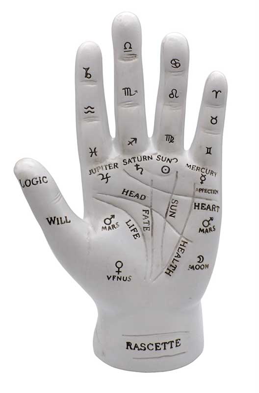 (image for) 7" Palmistry Hand - Click Image to Close